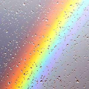 国产黄色免费网站
