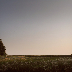 国产黄色免费网站
